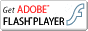 AdobeFlashPlayer