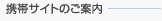 �g�уT�C�g�̂��ē�