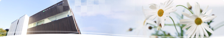�C���[�W