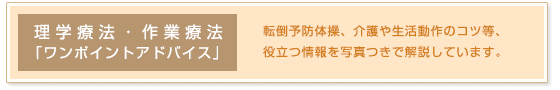 ���w�Ö@�u�����|�C���g�A�h�o�C�X�v 